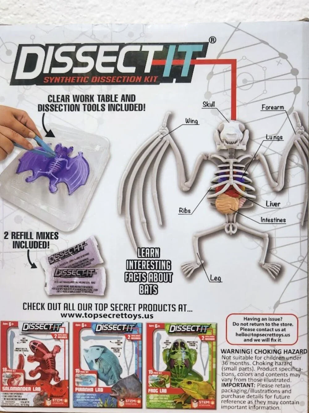 NEW Dissect-it Synthetic Lab Dissection Toy STEM KIT CRAFT Project Bat Biology A